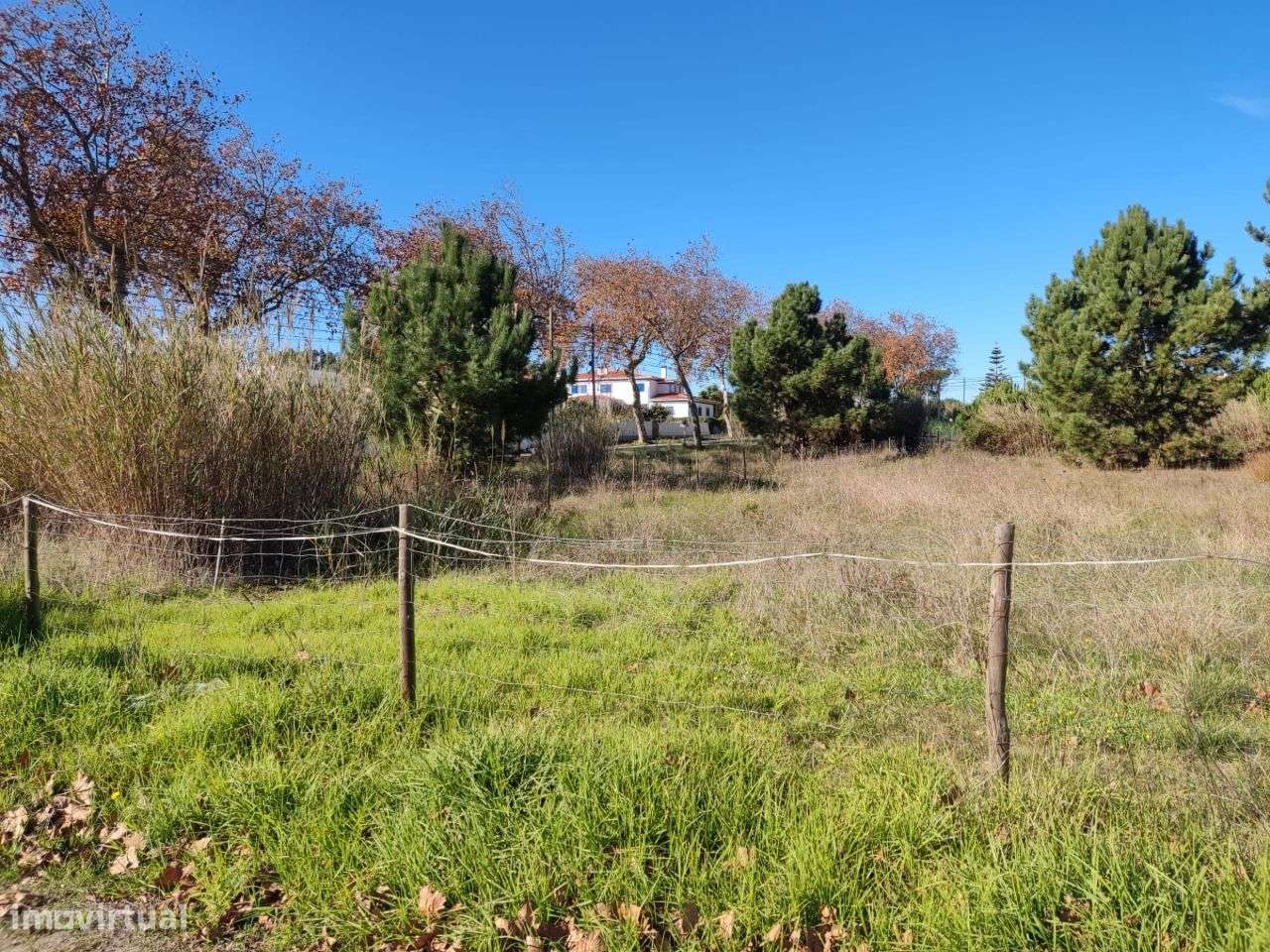 Terreno com viabilidade construção _ 905 Caldas da Rainha-15