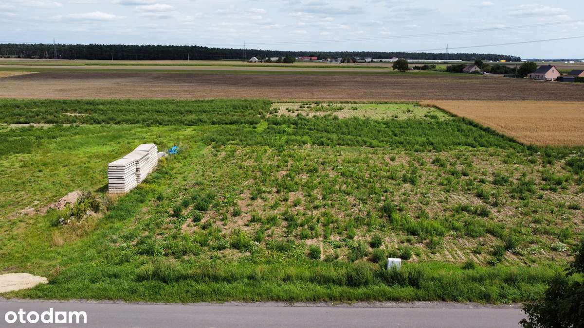 Działka z MPZP | Blisko Stęszewa i Poznania | Trasa S5 - Pełny obrazek: 5/12