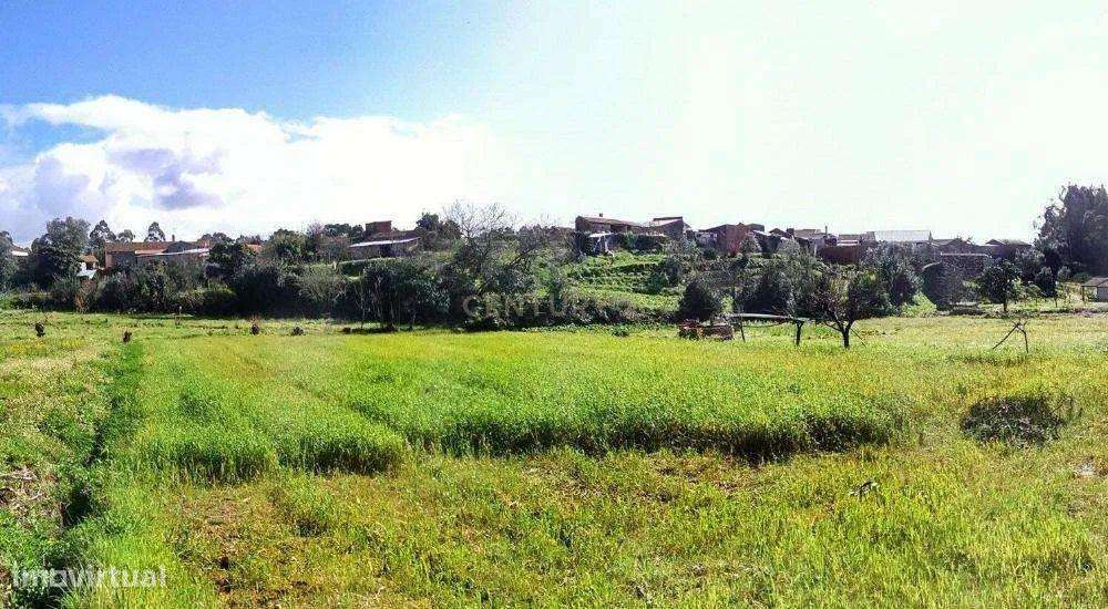 Terreno Rústico em Coimbra - Oportunidade Única por 2900€ - Grande imagem: 3/7