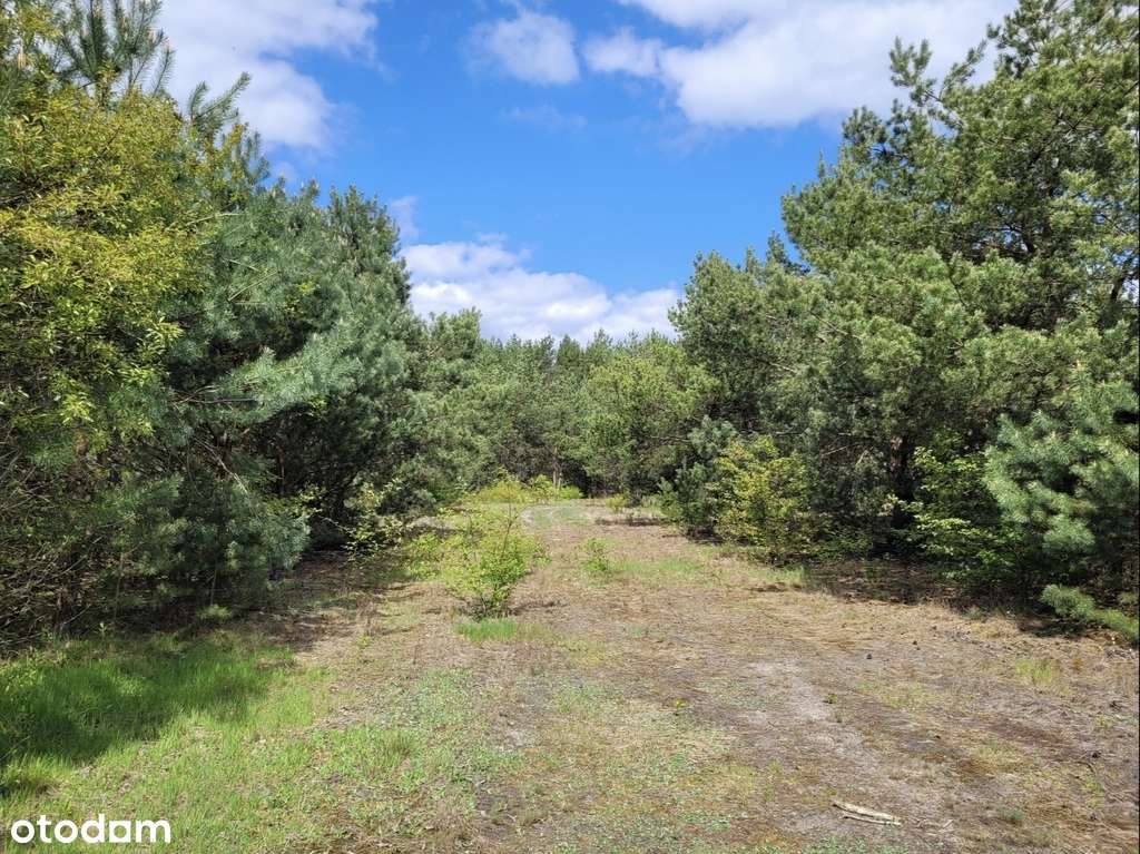 ✅Sprawdź>Atrakcyjna działka w malowniczej okolicy✅ - Pełny obrazek: 2/20