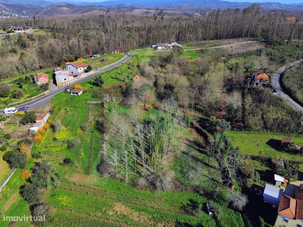Terreno em Jafafe - Macinhata do Vouga-11