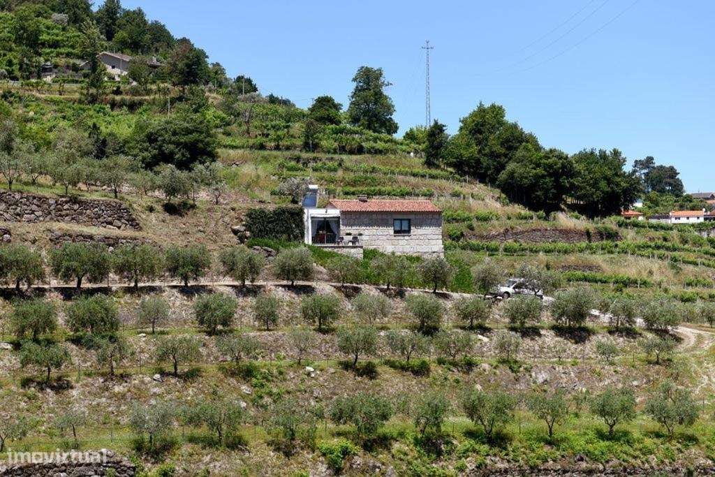 Quinta >=T10 Venda em Paredes de Viadores e Manhuncelos,Marco de Canav-46