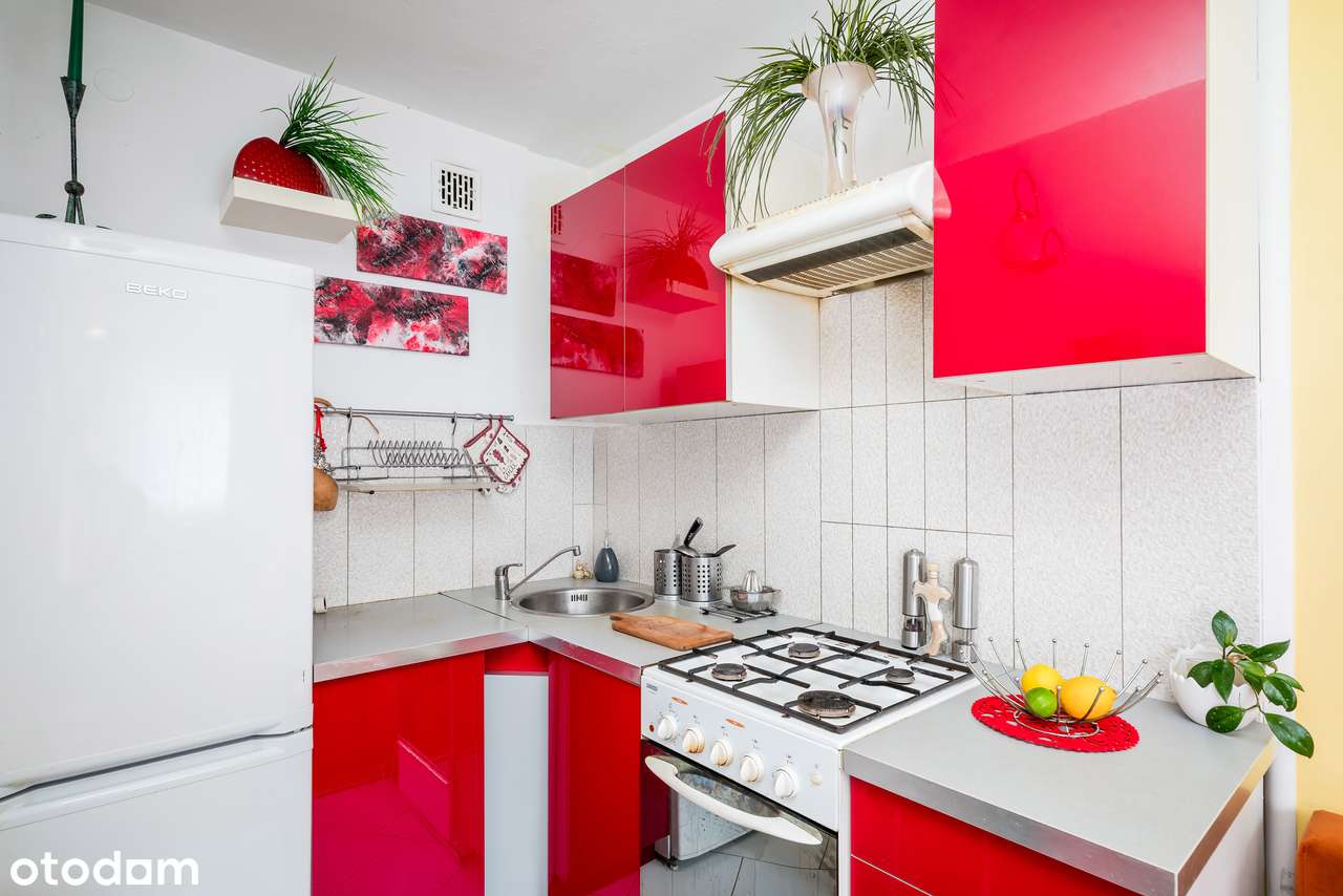 1 pokojowe | dobry standard | widok na zieleń-4