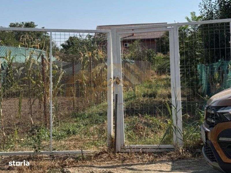 teren 1003 mp, oportunitate de constructie, Berceni - Imagine principală: 5/5