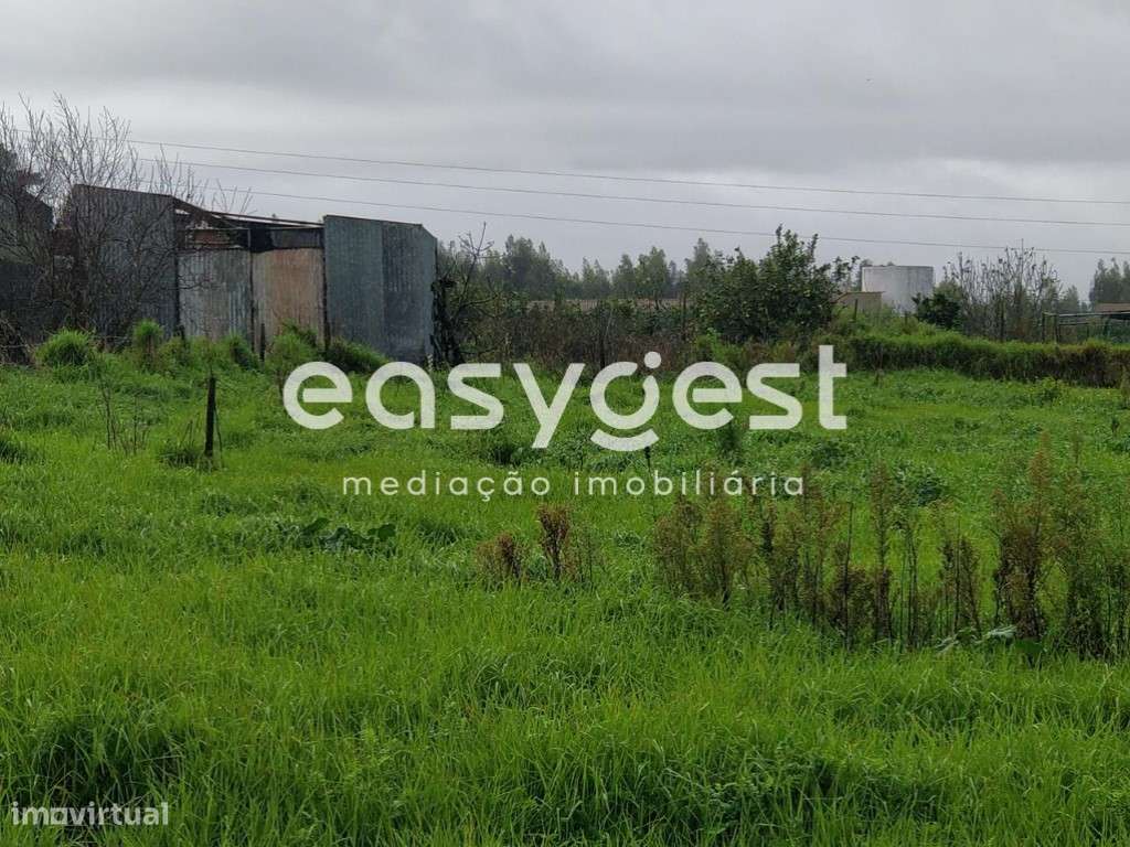 Terreno Urbano para construção com 2407m2 - 5 minutos de Mafra - Grande imagem: 4/15