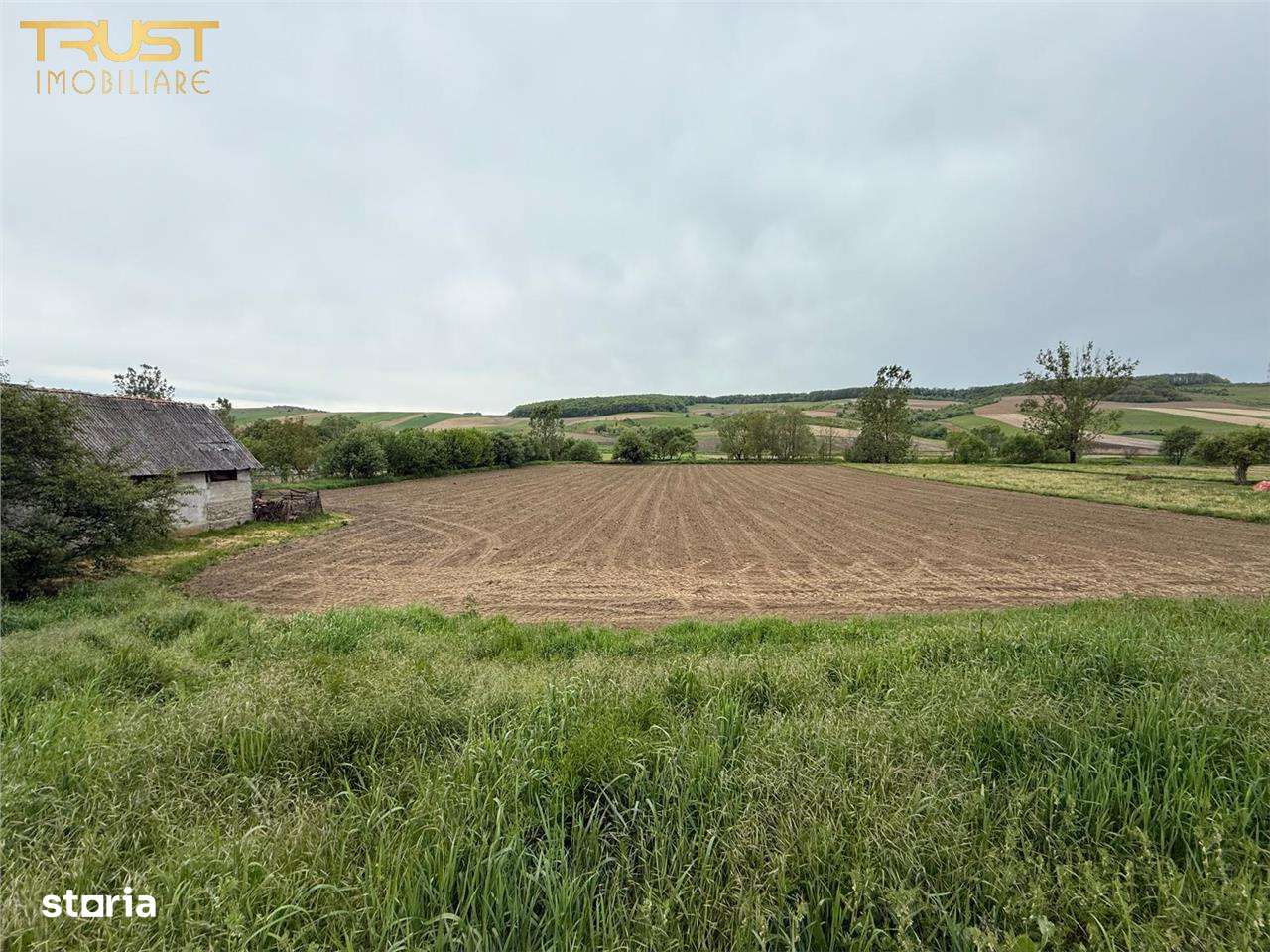 Teren intravilan de vanzare l 7500 MP l Aschileu Mare - Imagine principală: 4/8