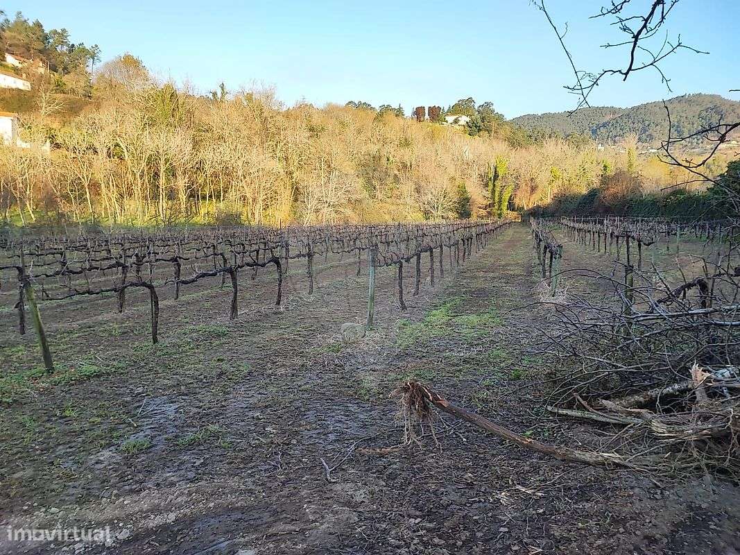 Quinta  para venda - Grande imagem: 4/7