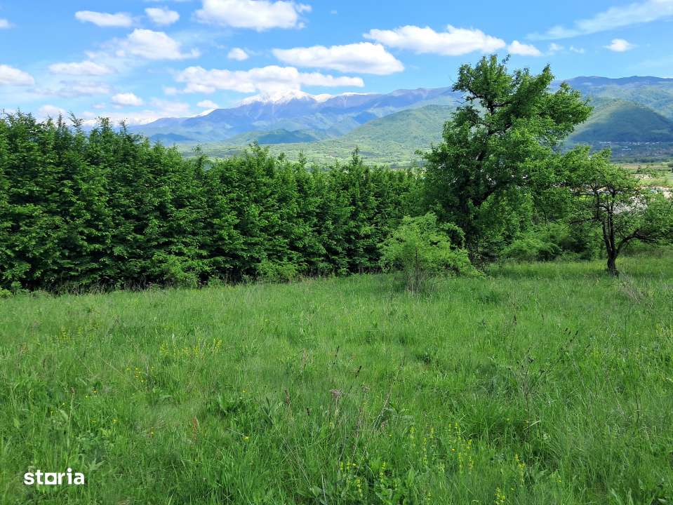 Teren de vanzare in Vii,  Podul Olt-4