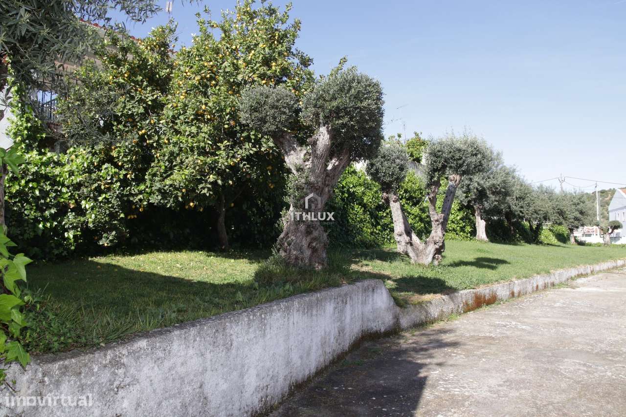 Quinta com duas moradias localizada na cidade de Elvas – Alentejo  - P - Grande imagem: 2/19