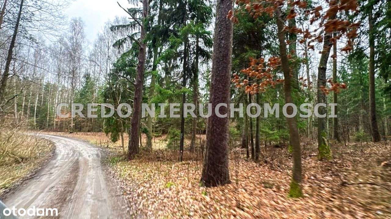 Różnowo ,2376m2, Urokliwa W Otulinie Lasów-4