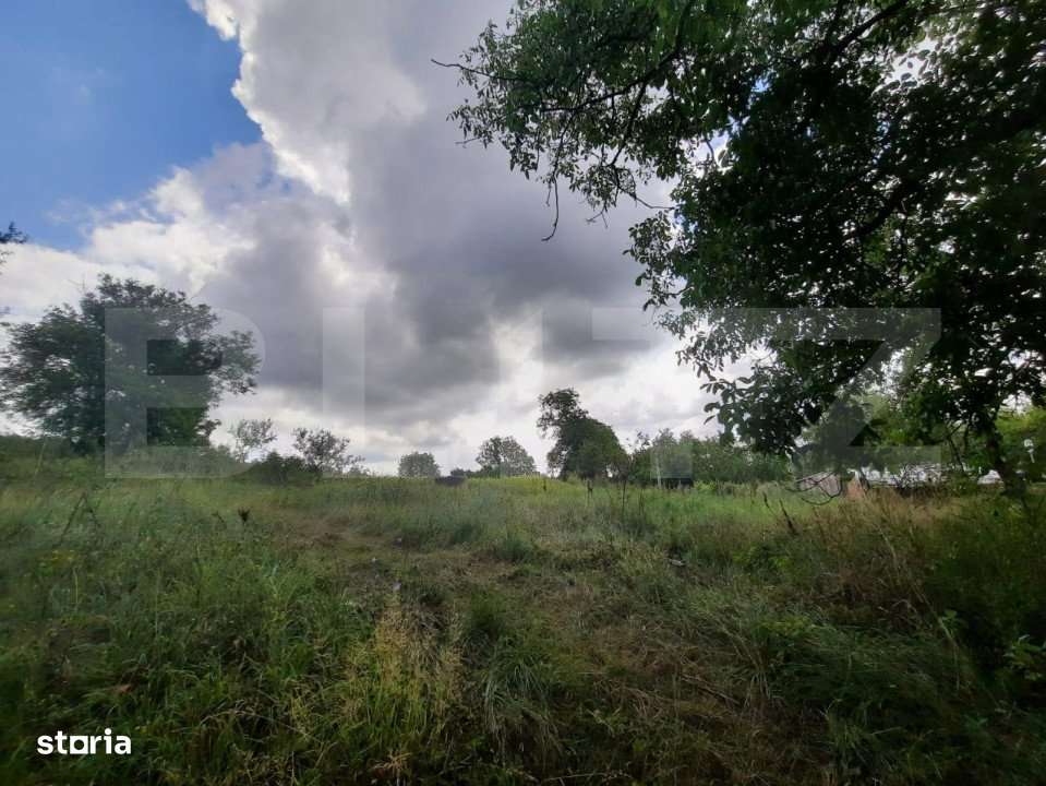 Teren 5000mp, langa padure, Dobrovat - Imagine principală: 3/3