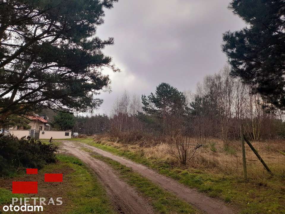 ok Stęszewa-Sapowice  fajna działka pod własny dom-3