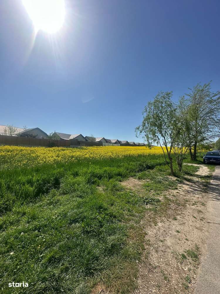 Teren intravilan 26.300 mp Saftica Balotesti - PUZ în lucru-19