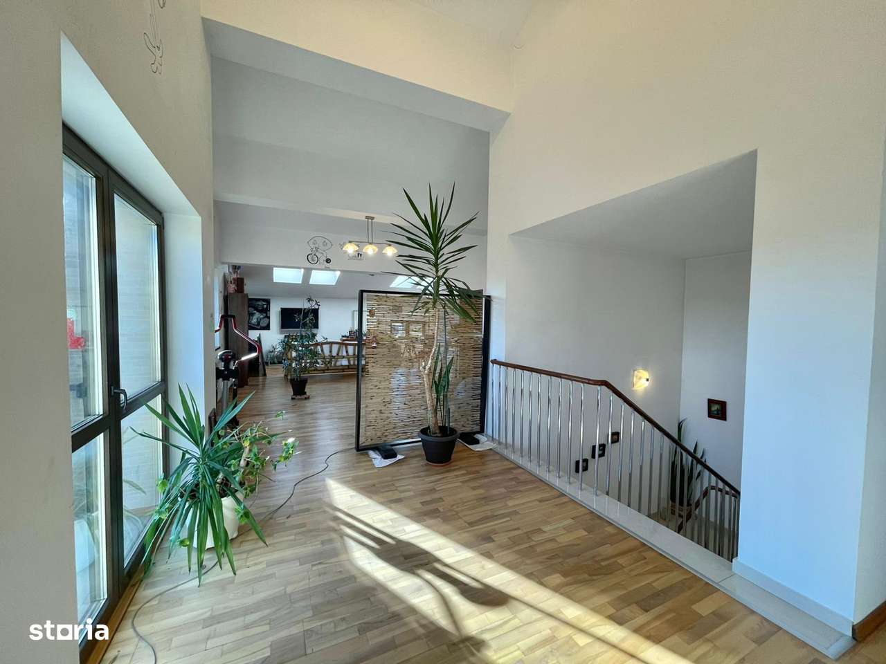 Casa - Damaroaia, Expozitiei, Herastrau-8