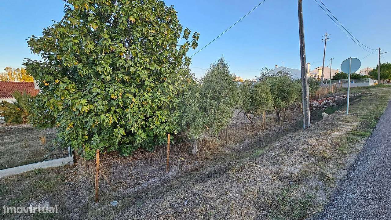 Terreno  para venda-6