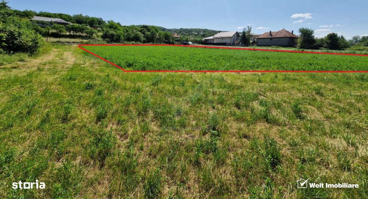 Teren intravilan 2000 mp – Popesti (Baciu) Ideal pentru casa, gradin - Imagine principală: 4/7