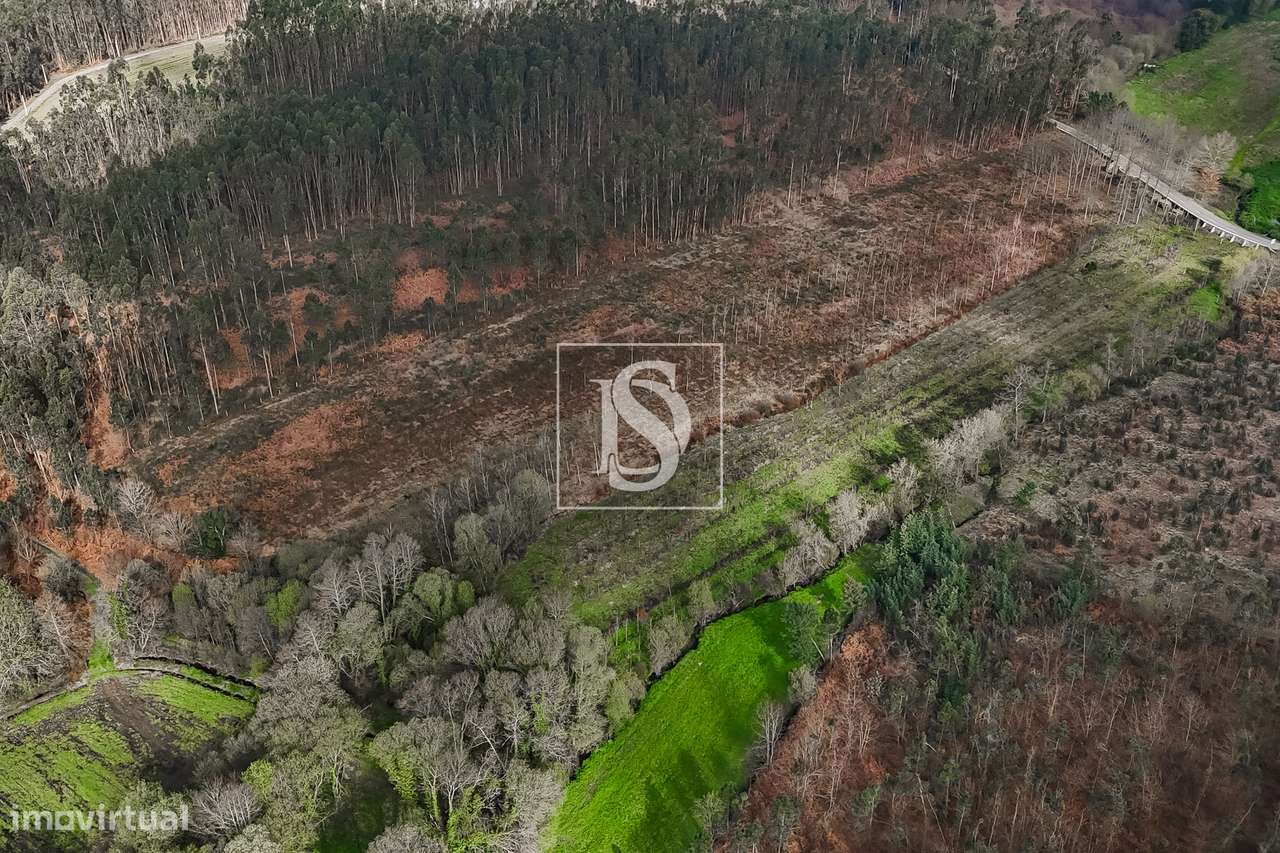 Terreno Rústico  Venda em Associação de freguesias do Vale do Neiva,Po-6