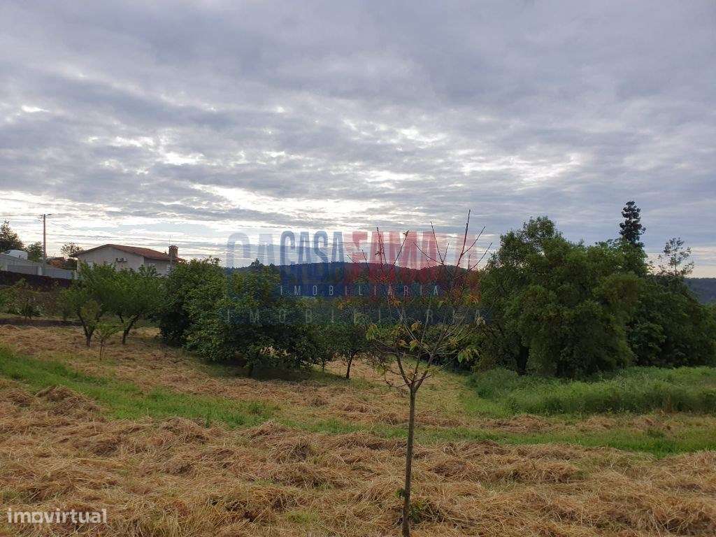 Terreno para construção em Fradelos - Vila Nova de Famalicão - Grande imagem: 5/5