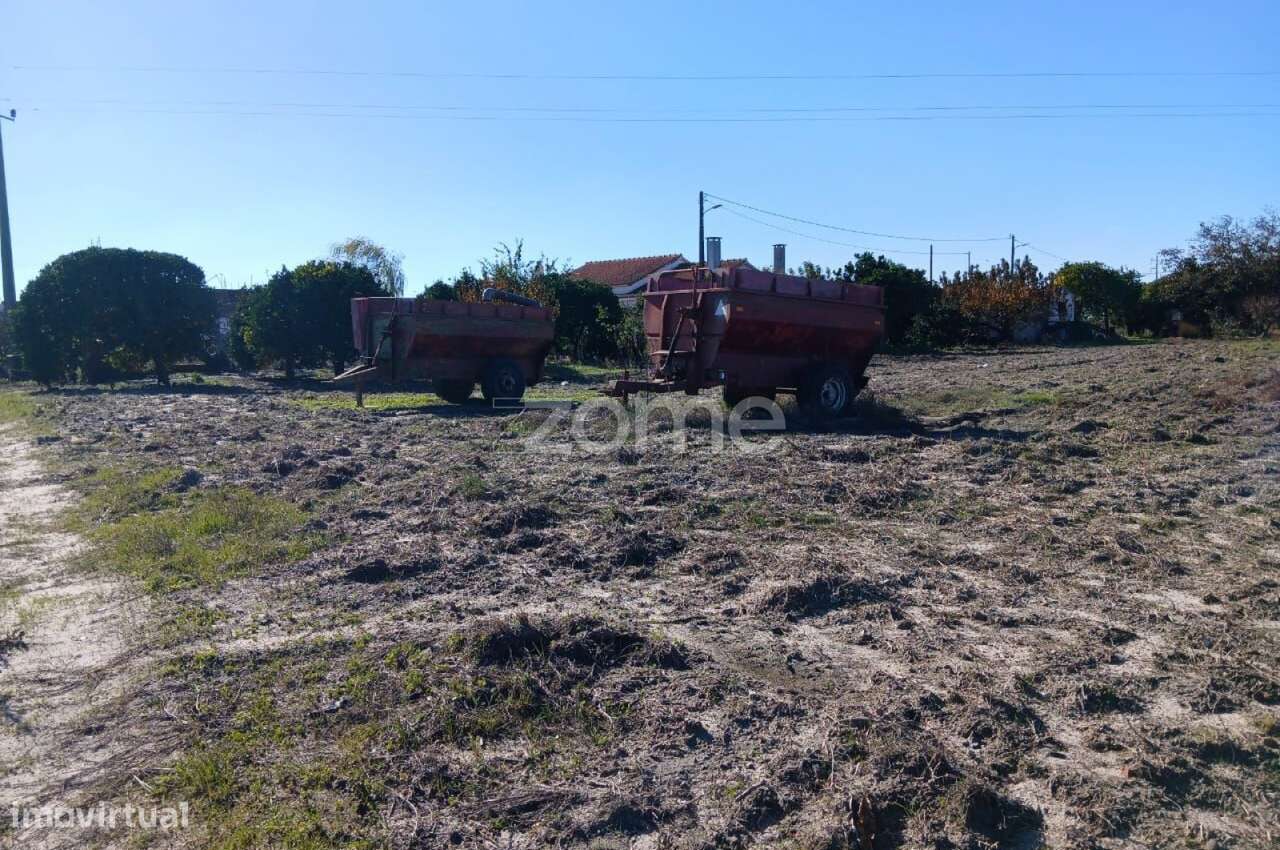 Quinta localizada no Bairro da Margaça, em Poceirão – Águas de Mour... - Grande imagem: 4/15