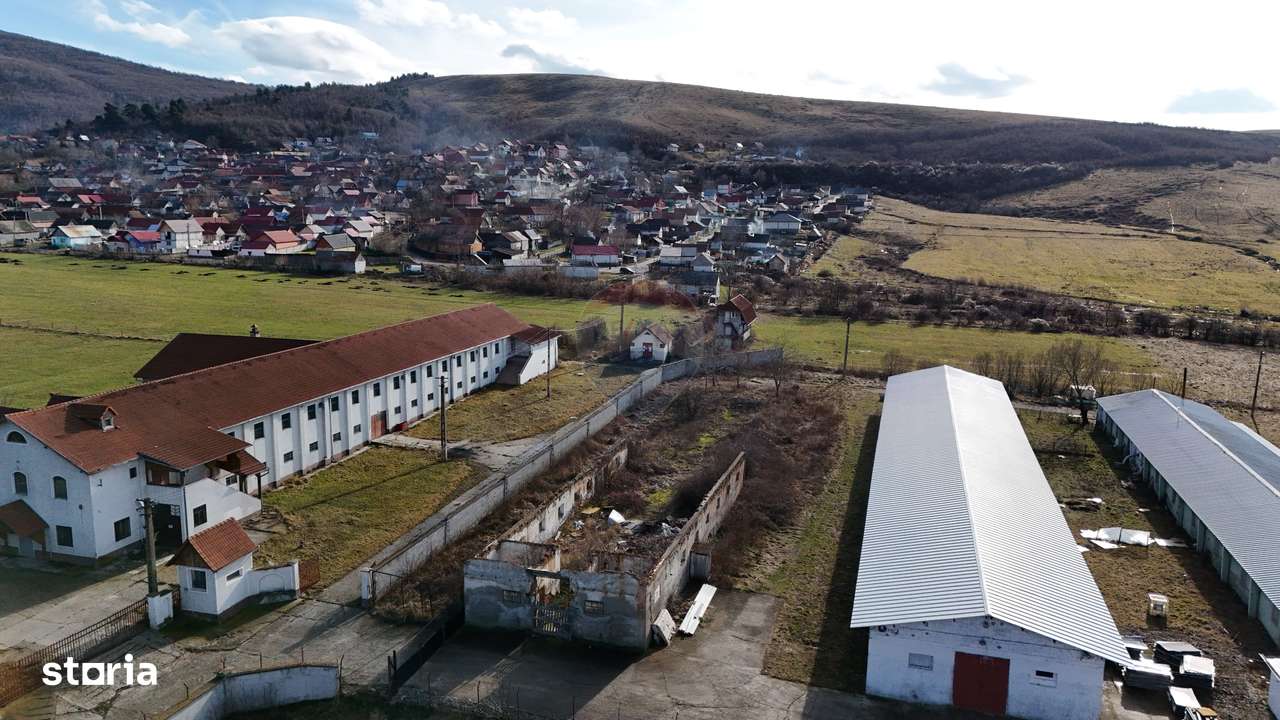 Teren industrial 1.729 mp I Demolare + construcție hală Teliu-8