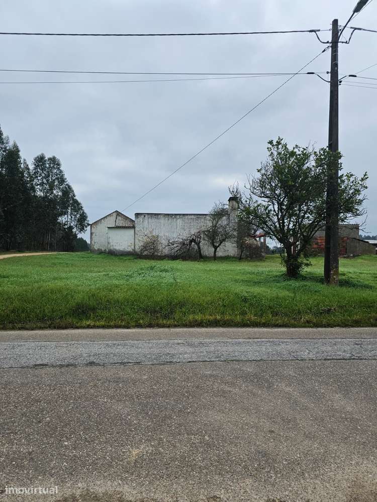 Quintinha 1350m2 - Almeirim - Fazendas de Almeirim-6