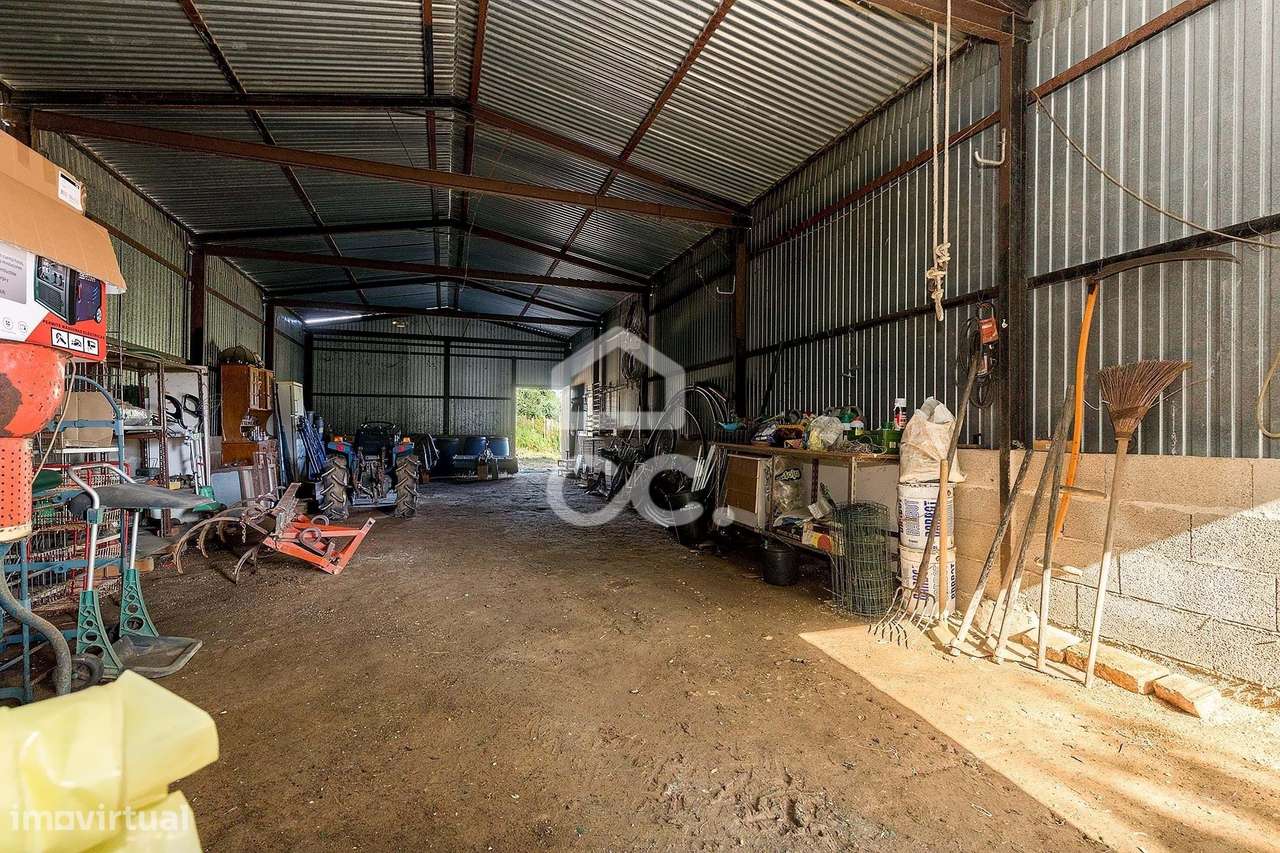 Quinta de 9250m2 c/ Moradia T4 térrea, anexo e armazém | Azaruja-31