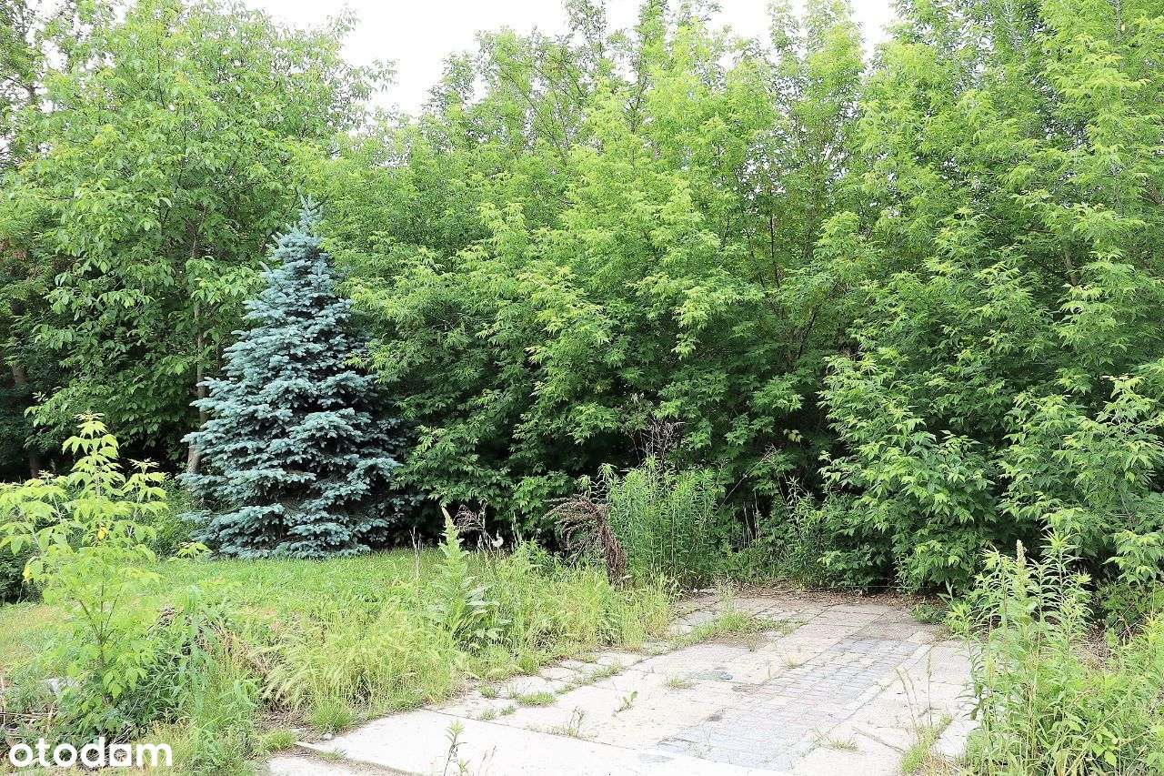 Działka budowlana Siedlce, ul. Sosnowa - Pełny obrazek: 5/6