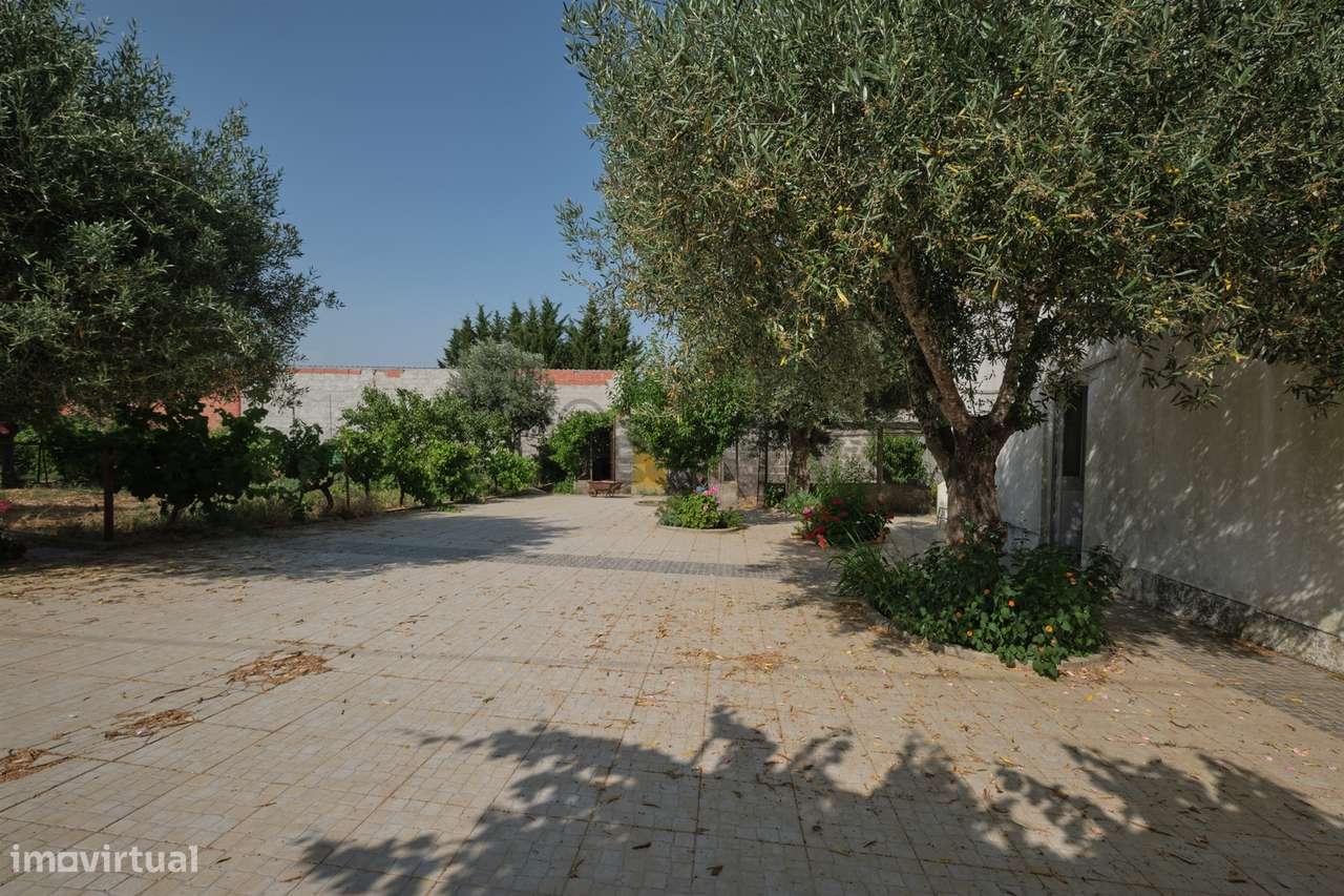 Moradia T3 com garagem e Quintal, São Cristóvão, Montemor-o-Novo - Grande imagem: 5/30