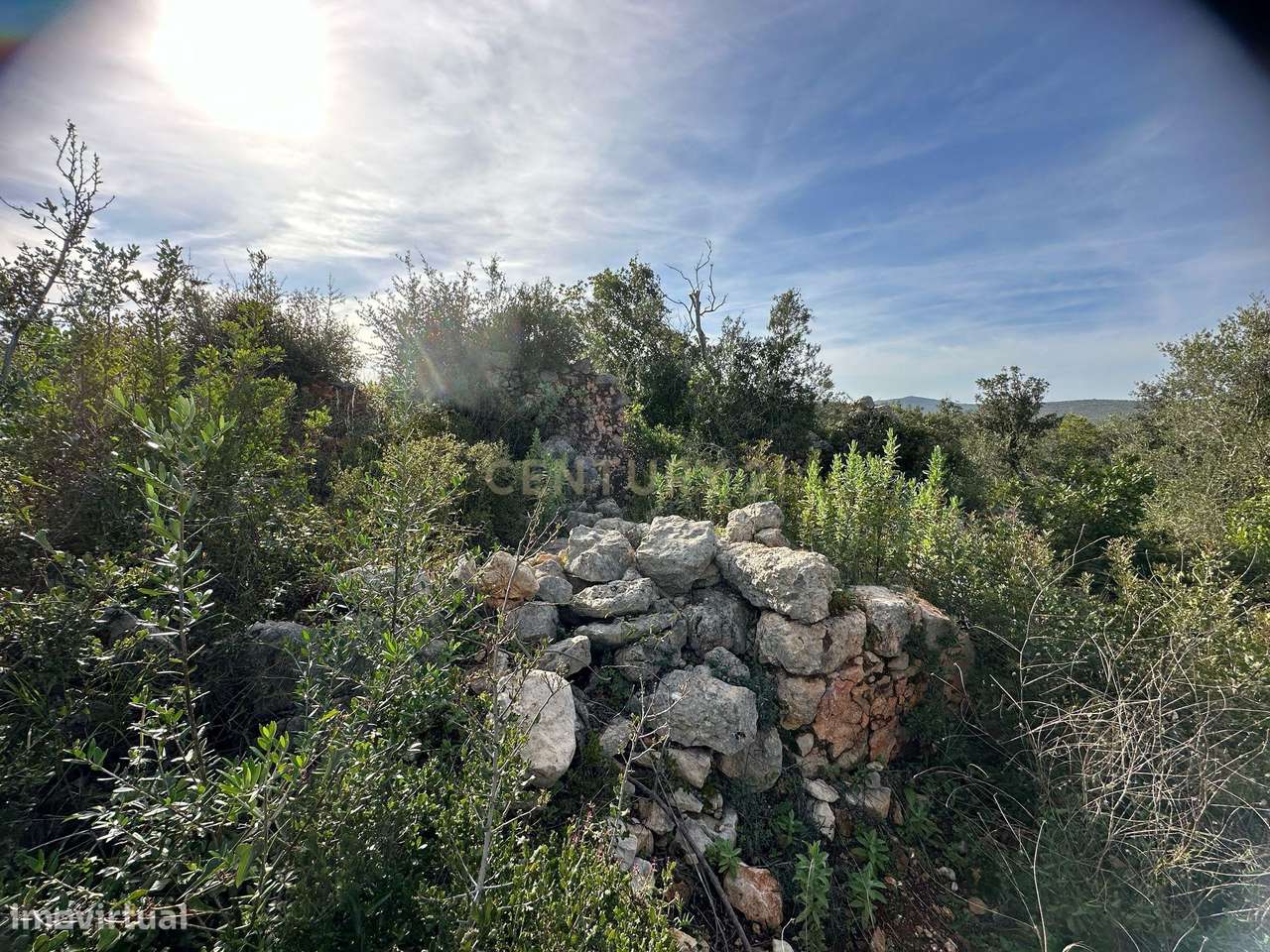 Terreno de 2HA com ruína em Vale da Boa Hora, Parragil (Loulé e Boliqu - Grande imagem: 2/11