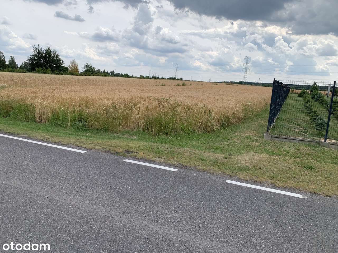 Duża działka nieopodal Warki z możliwością podzielenia na mniejsze - Pełny obrazek: 5/5