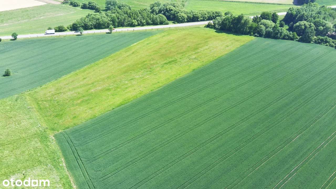 Na Sprzedaż Grunt Pod Produkcję i Usługi przy DK 33-13