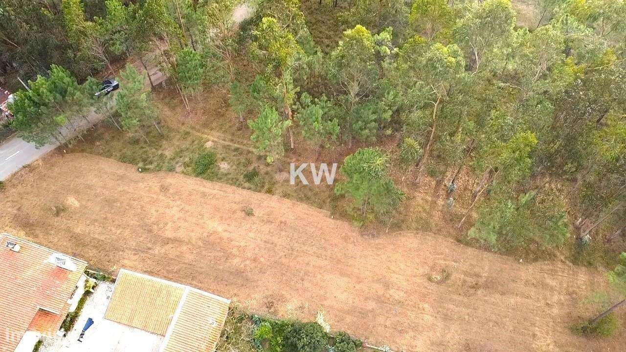 Terreno Plano para Construção em Souto, Santa Maria da Feira - 1977m2 - Grande imagem: 4/15