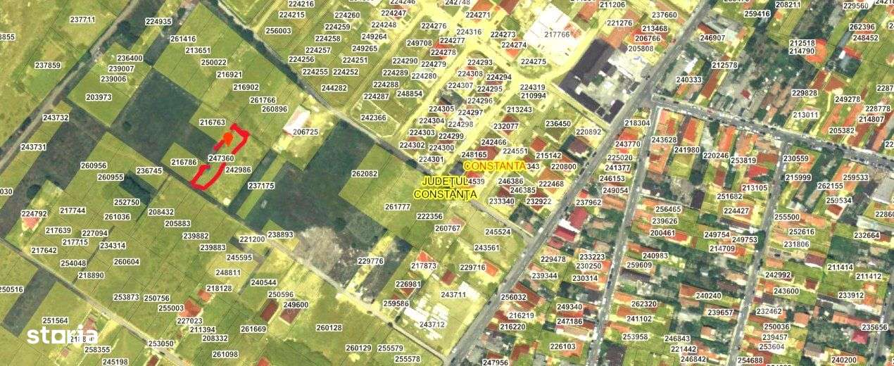 Teren intravilan - Viile Noi/Comarnic- 750 mp, utilitati in apropiere-2