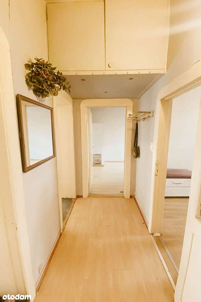 Przestronne mieszkanie 76 m² w kamienicy – parter, centrum miasta - Pełny obrazek: 4/7