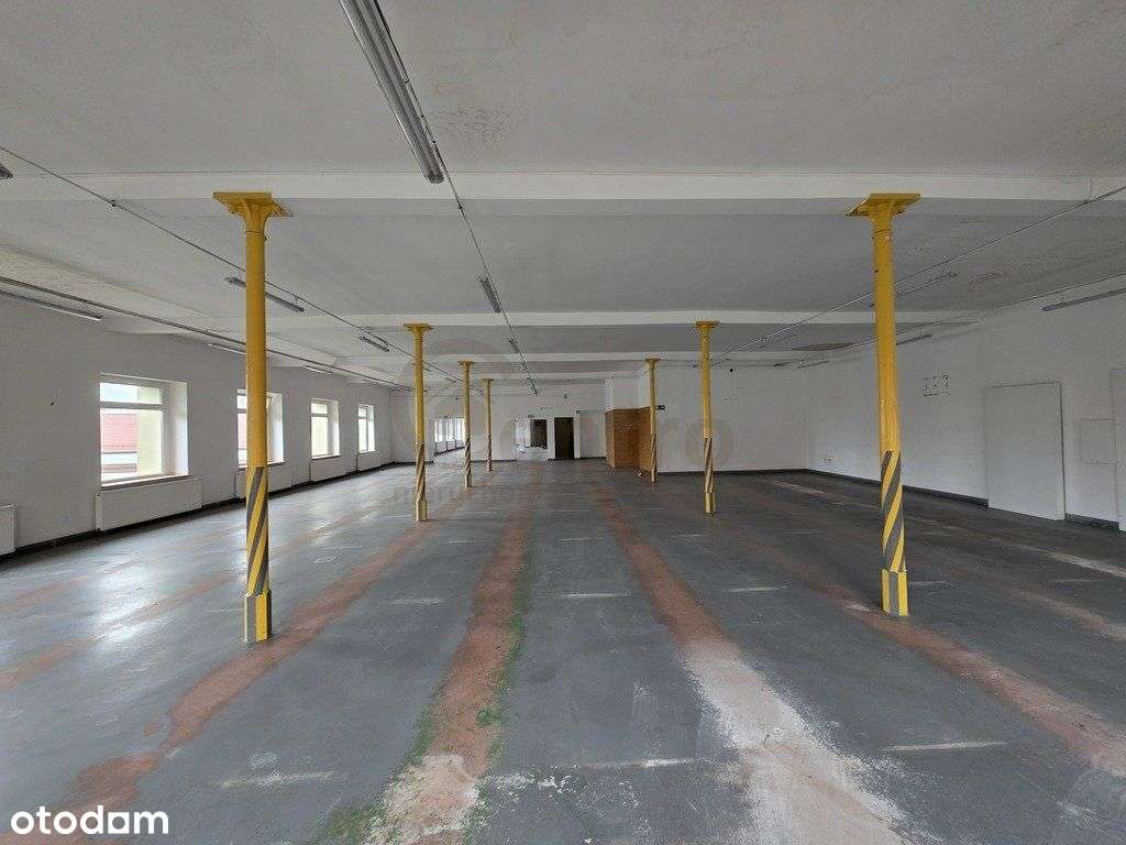 Do wynajęcia lokale o powierzchni od 56 - 425m2-3