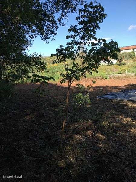 Terreno rústico com dois riachos - Grande imagem: 5/6