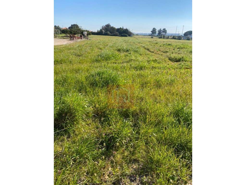 Terreno urbano para construção com 10.080 m2 em São Francisco. - Grande imagem: 5/16