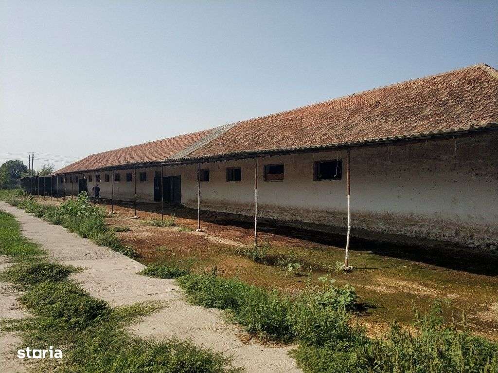 Ferma cu hale 3000 mp si teren 12000 mp, 30 km de Constanta - Imagine principală: 5/11