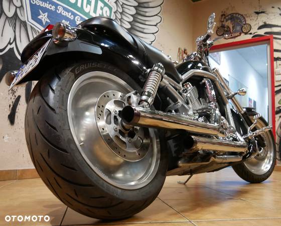 Harley-Davidson Softail V-Rod - 17