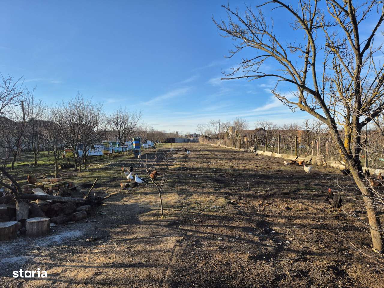 Casa Loc. Sântana,25km de Arad, gradină 1933 mp front stradal dublu-17