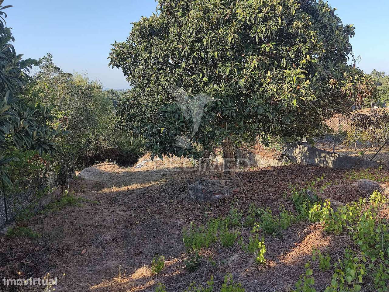 Terreno de 1200 m² nas Laranjeiras - Grande imagem: 4/4