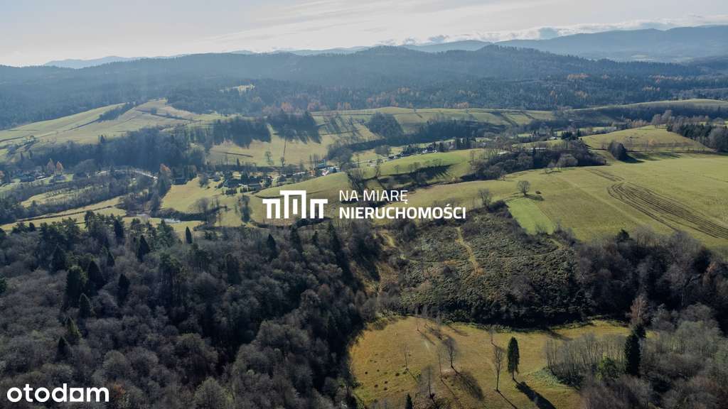 Działka 3,2 ha | Cisza, natura, Bieszczady - Pełny obrazek: 5/8