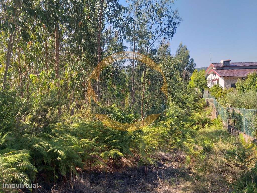 Terreno urbano Oliveira de Azeméis - Grande imagem: 2/5