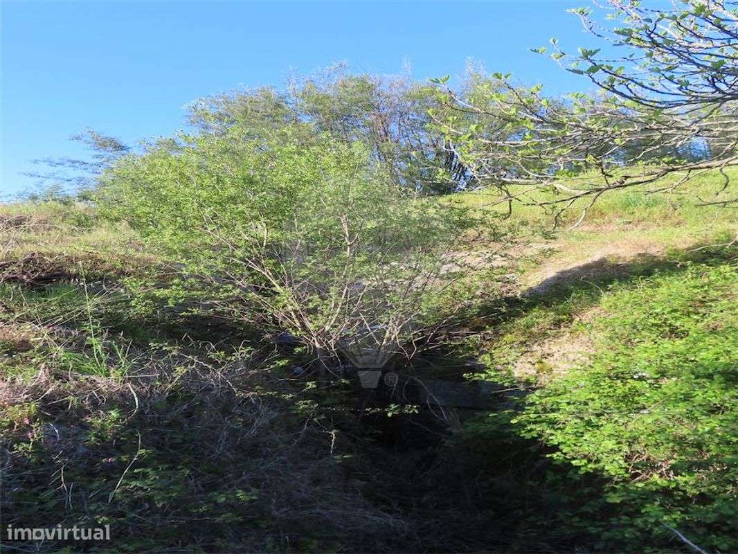 Quinta  para venda - Grande imagem: 5/50