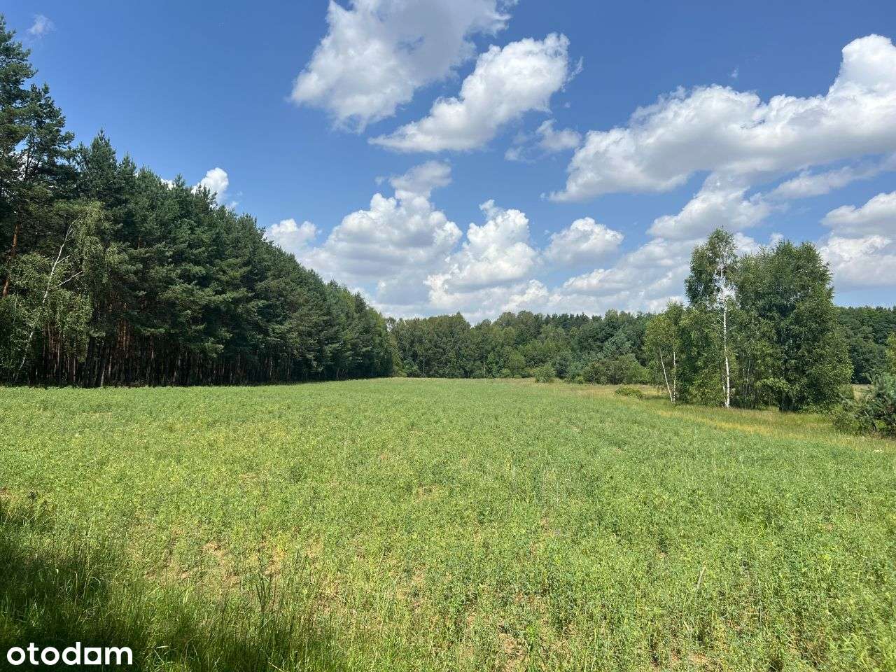 Działki rekreacyjne nad rzeką Wartą-możliwe raty!-1