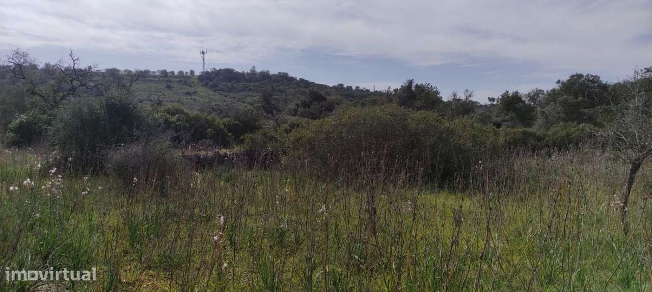 Terreno Rústico - Grande imagem: 4/12