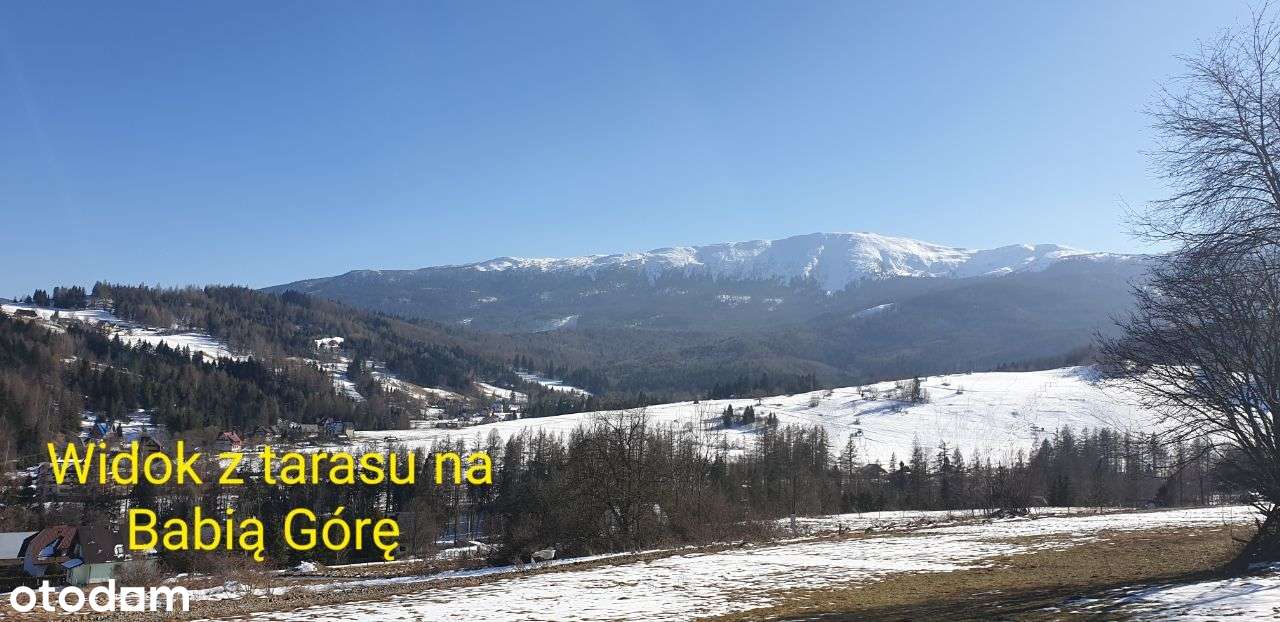 Inwestycja osiedle 8 domów z bali z działką Zawoja-6