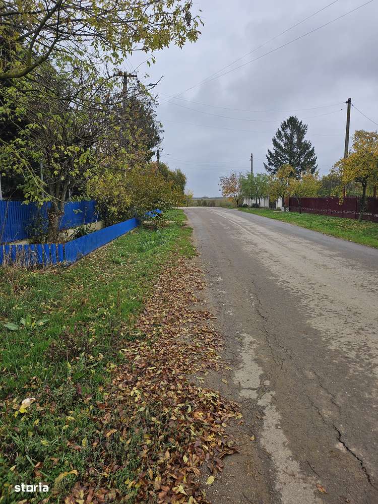 Butimanu Jud. Dambovita, teren intravilan si extravilan-3