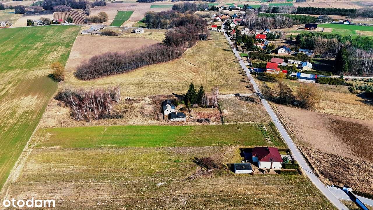 Działka budowlana, 3 km od centrum Rawy Mazowieckiej - Pełny obrazek: 4/13