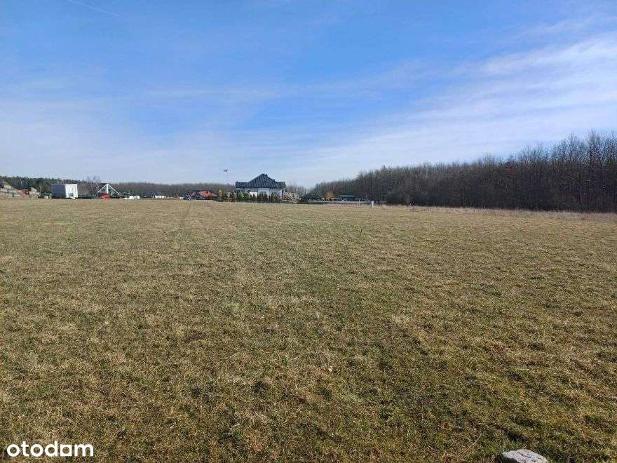 Sprzedam atrakcyjną działkę w Chludowie-5